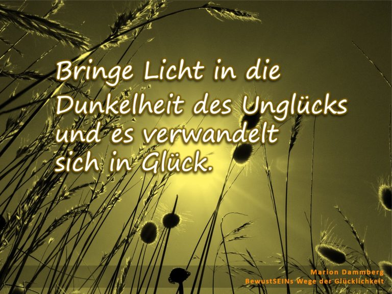 Vom Unglück ins Glück
