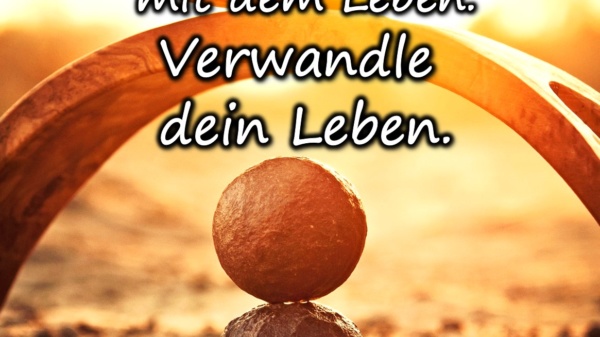 Verhandle nicht mit dem Leben. Verwandle dein Leben - BewusstSEINs Wege der Glücklichkeit, Marion Dammberg, BewusstSEINs Life Coach