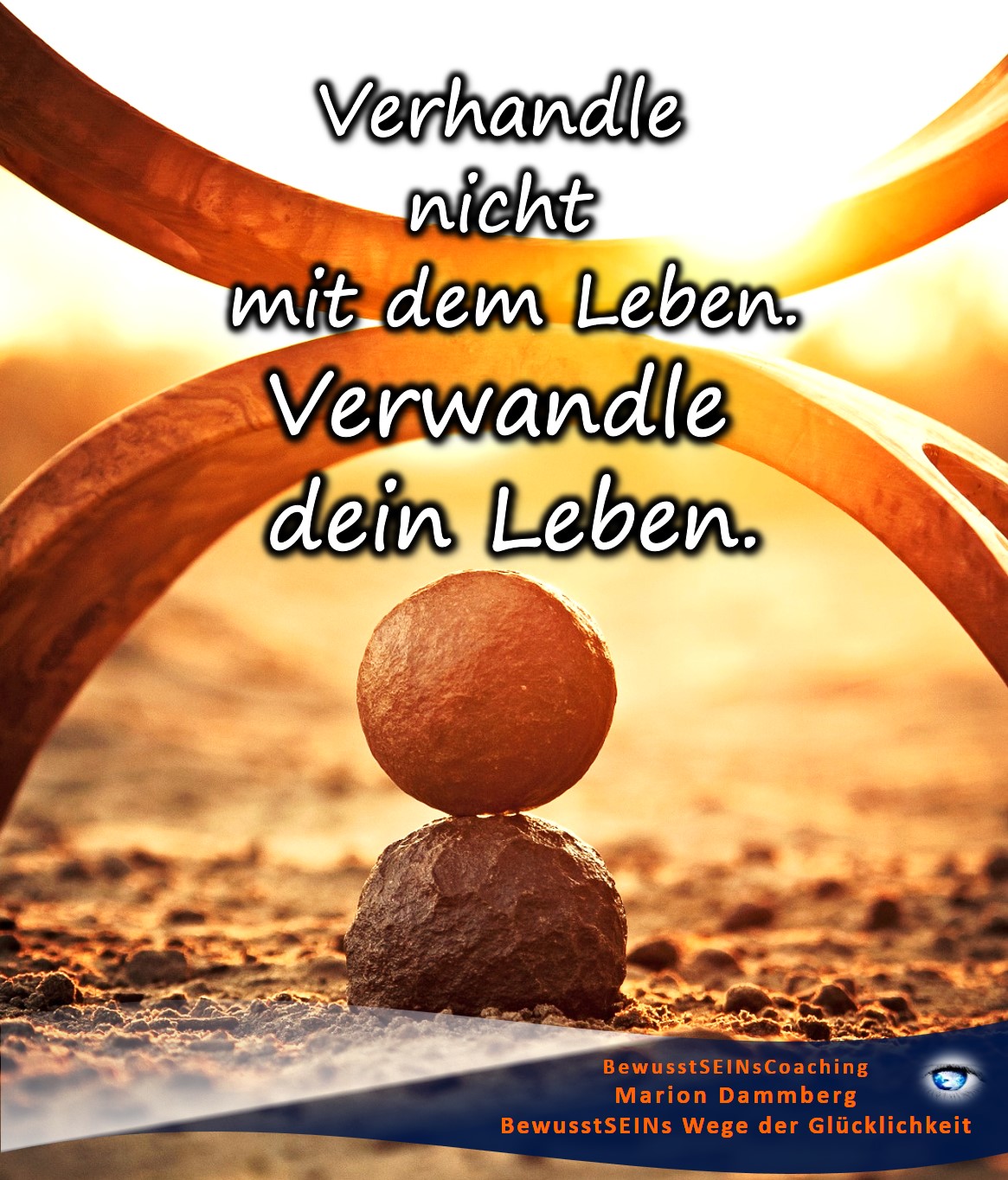 Verhandle nicht mit dem Leben. Verwandle dein Leben - BewusstSEINs Wege der Glücklichkeit, Marion Dammberg, BewusstSEINs Life Coach