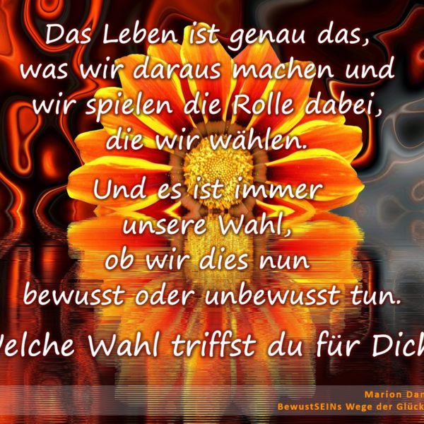 Wer bestimmt über unser Leben? ⋆ Marion Dammberg BewusstSEINs Coaching