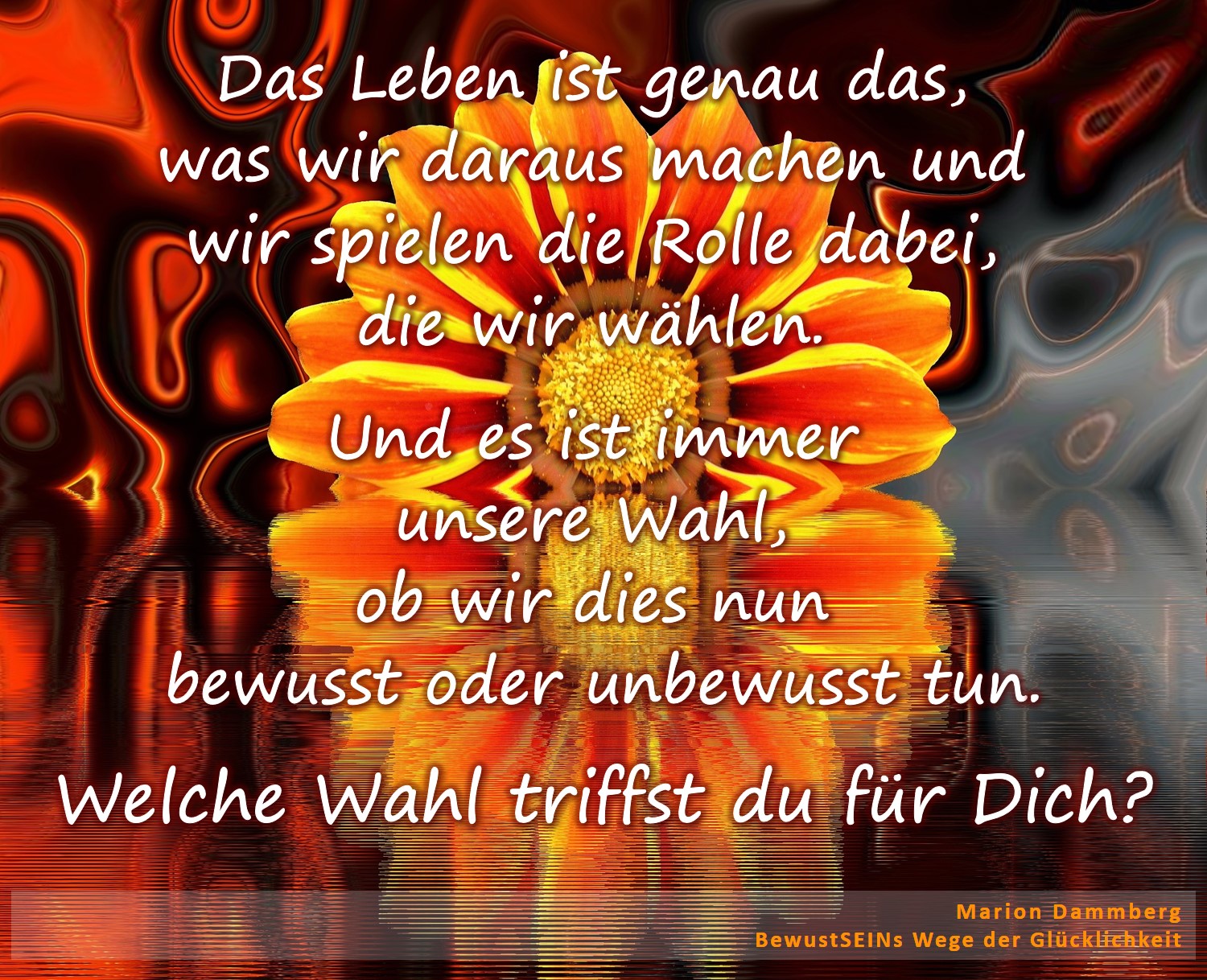 Das Leben ist genau das, was wir daraus machen und wir spielen die Rolle dabei, die wir wählen. Und es ist immer unsere Wahl, ob wir dies nun bewusst oder unbewusst tun. - BewusstSEINs Wege der Glücklichkeit, Marion Dammberg, BewusstSEINs Life Coach