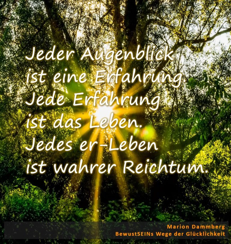 Das Leben ist eine Schatzkammer – Jedes er-Leben ist wahrer Reichtum