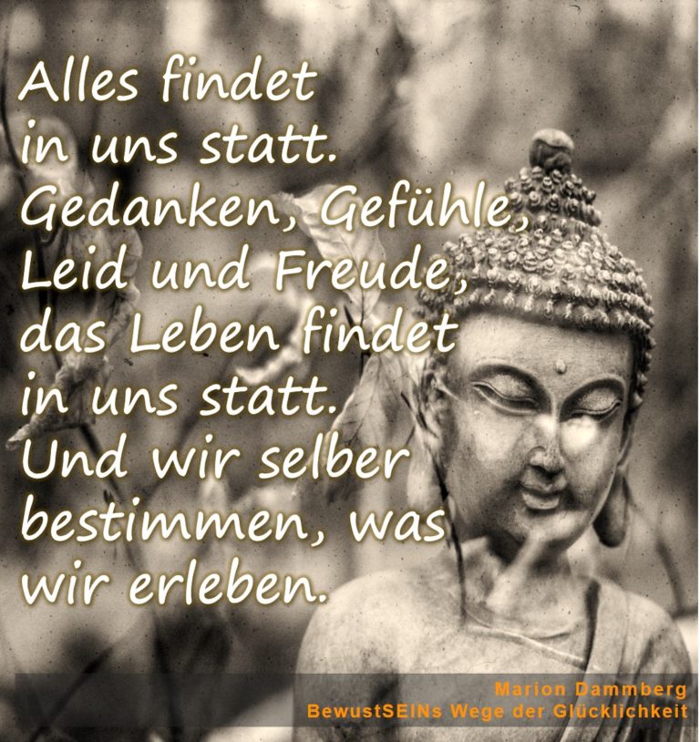 Wo findet das Leben statt?