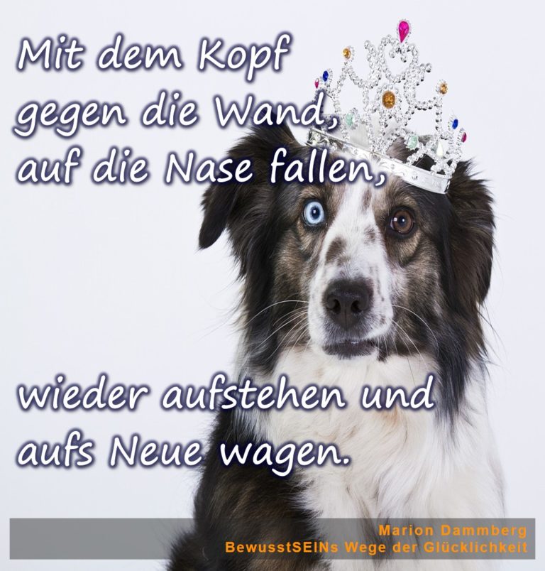 Mit eigenem Willen oder mit dem Kopf durch die Wand