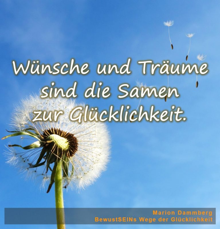 Ziele erreichen, Wünsche erfüllen, Träume verwirklichen