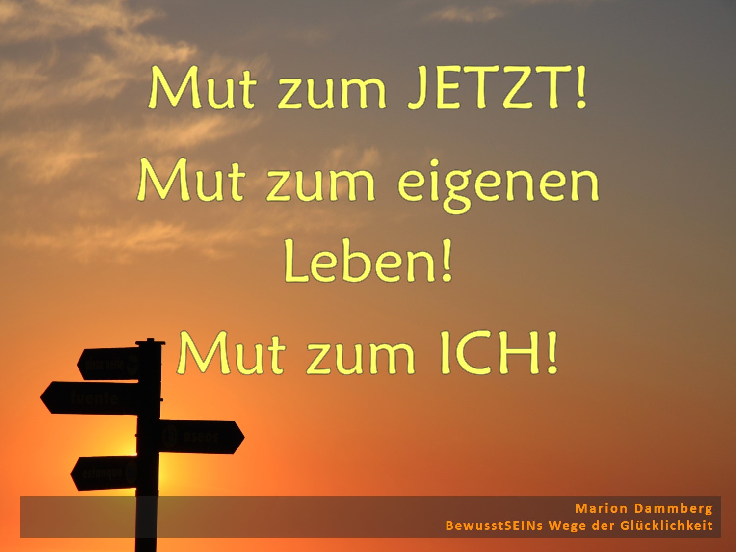 Mut zum JETZT! Mut zum eigenen Leben! Mut zum ICH! - BewusstSEINs Wege der Glücklichkeit, Marion Dammberg, BewusstSEINs Life Coach