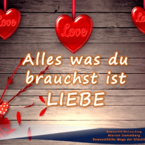 Alles was du brauchst ist LIEBE. - BewusstSEINs Wege der Glücklichkeit, Marion Dammberg, BewusstSEINsCoaching Life Coach