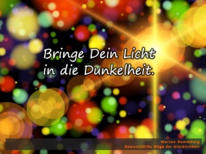 Bringe dein Licht in die Dunkelheit - BewusstSEINs Wege der Glücklichkeit, Marion Dammberg, BewusstSEINs Life Coach