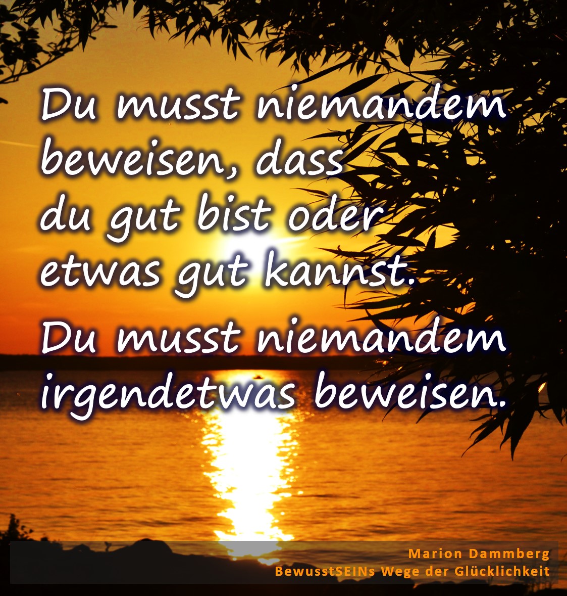 Du musst niemandem beweisen, dass du gut bist oder etwas gut kannst. Du musst niemandem irgendetwas beweisen. - BewusstSEINs Wege der Glücklichkeit, Marion Dammberg, BewusstSEINs Life Coach