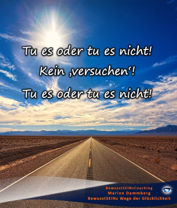 Tu es oder tu es nicht Kein versuchen ⋆ Marion Dammberg BewusstSEINs Coaching BewusstSEINs Weg