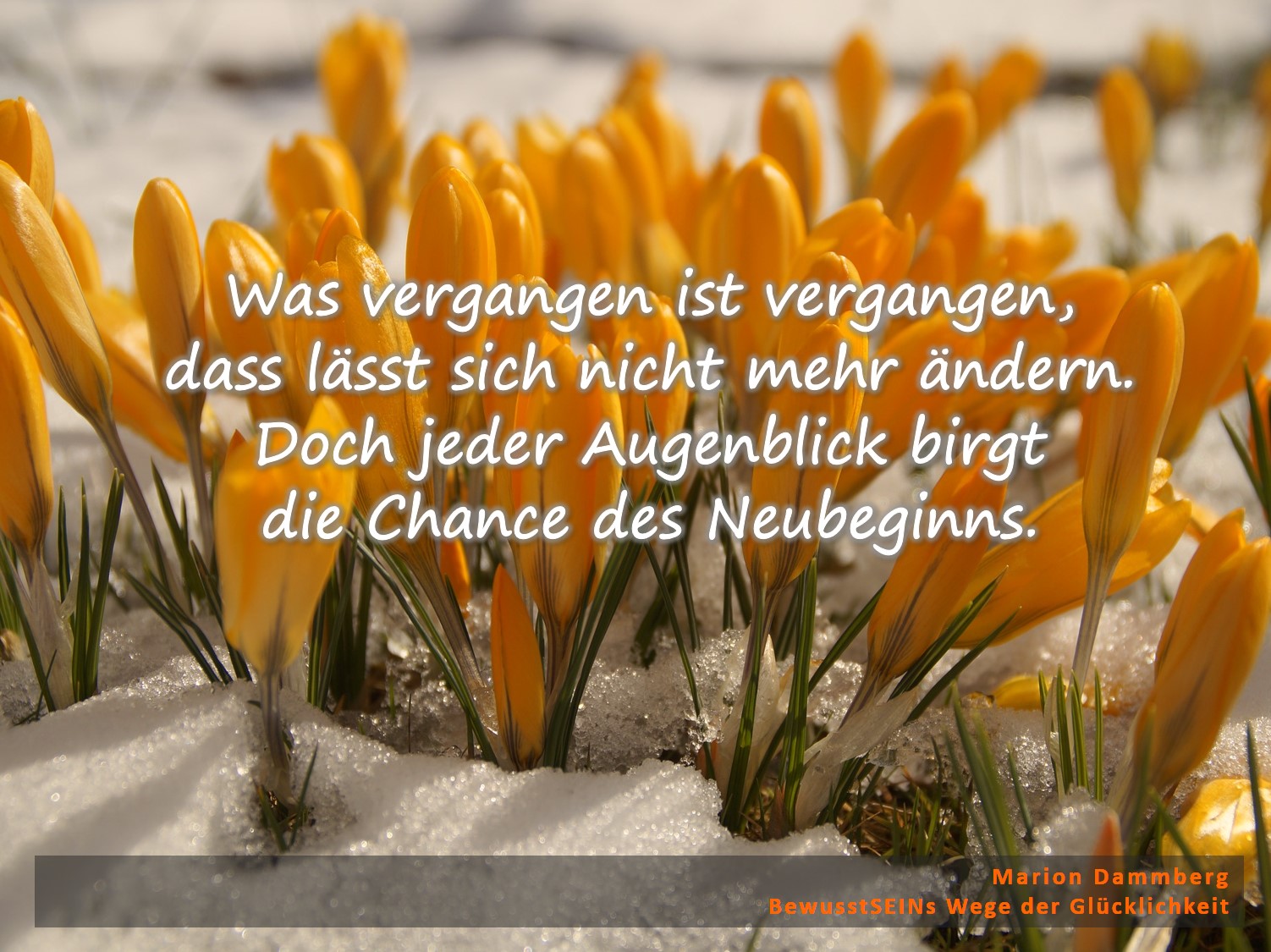 Was vergangen ist vergangen, dass lässt sich nicht mehr ändern. Doch jeder Augenblick birgt die Chance des Neubeginns. - BewusstSEINs Wege der Glücklichkeit, Marion Dammberg, BewusstSEINs Life Coach