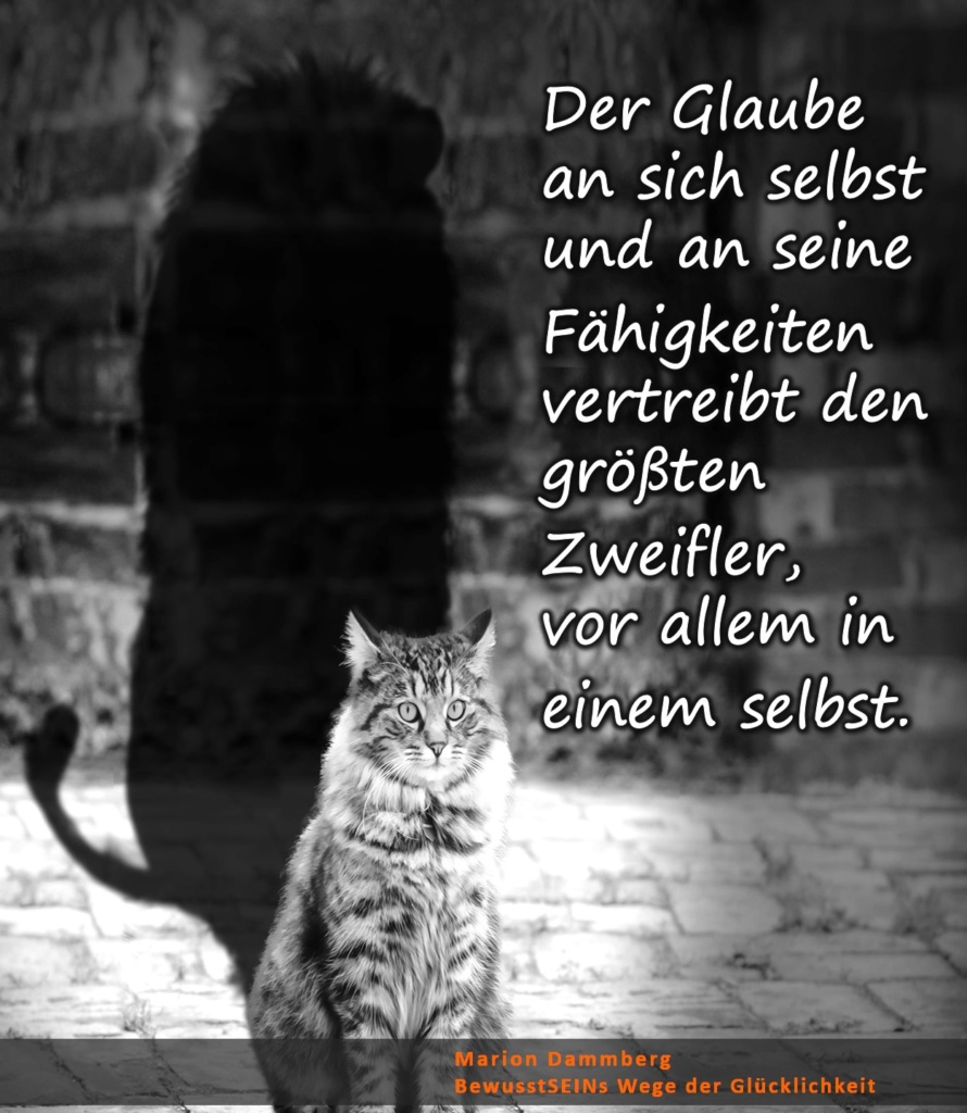 Der Glaube an sich selbst und an seine Fähigkeiten vertreibt den größten Zweifler, vor allem in einem selbst. - BewusstSEINs Wege der Glücklichkeit, Marion Dammberg, BewusstSEINs Life Coach