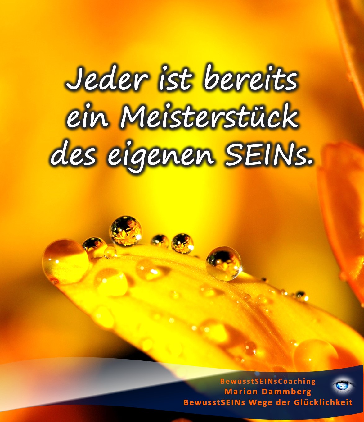 Get Zitate selbstwert For Android Free