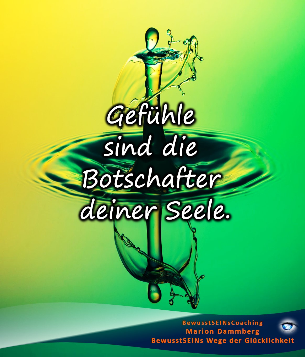 Gefühle sind die Botschafter deiner Seele - BewusstSEINs Wege der Glücklichkeit, Marion Dammberg, BewusstSEINs Life Coach