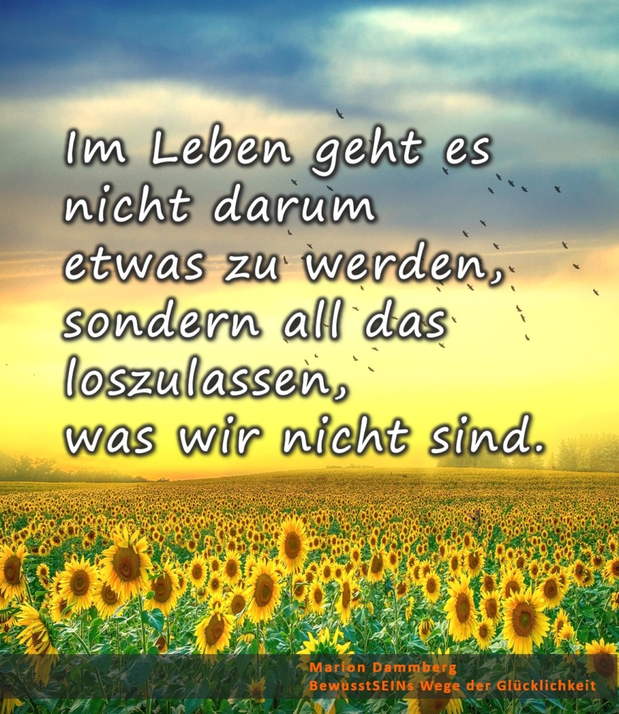 Im Leben geht es nicht darum etwas zu werden, sondern all das loszulassen, was wir nicht sind. - - BewusstSEINs Wege der Glücklichkeit, Marion Dammberg, BewusstSEINs Life Coach