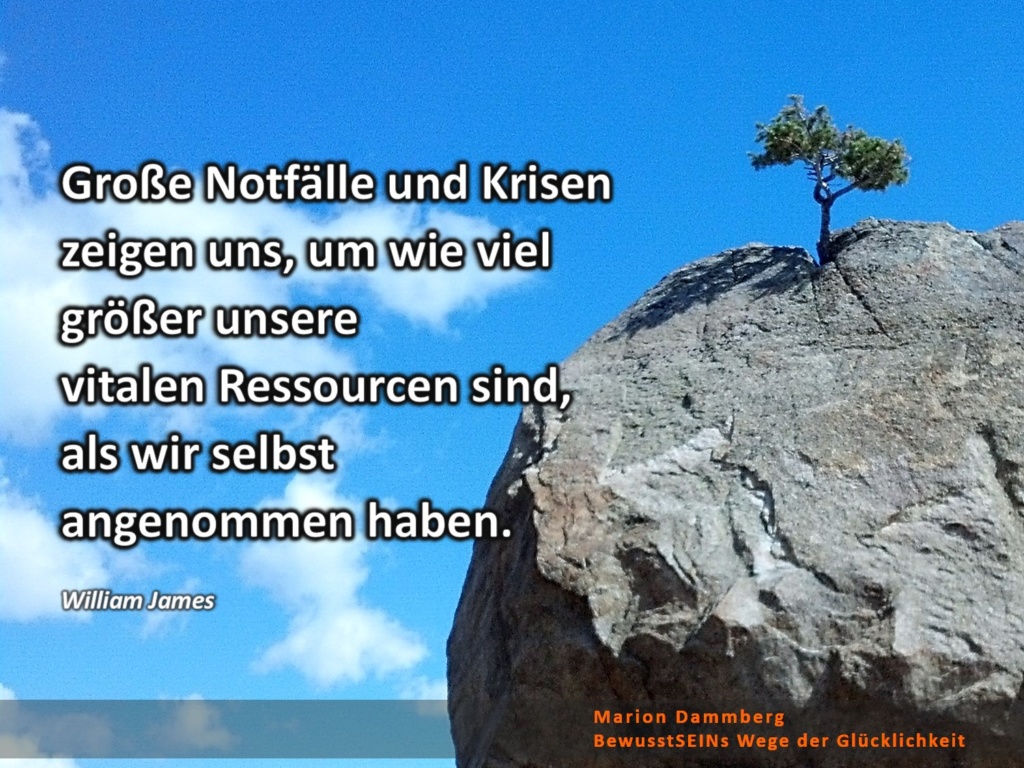 Große Notfälle und Krisen zeigen uns, um wie viel größer unsere vitalen Ressourcen sind, als wir selbst angenommen haben. Zitat William James - BewusstSEINs Wege der Glücklichkeit, Marion Dammberg, BewusstSEINs Life Coach