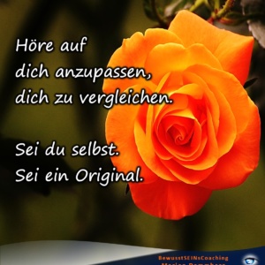 Höre auf, dich anzupassen, dich zu vergleichen. Sei du selbst. Sei ein Original. Lebe und liebe dich als Original. - BewusstSEINs Wege der Glücklichkeit, Marion Dammberg, BewusstSEINs Life Coach