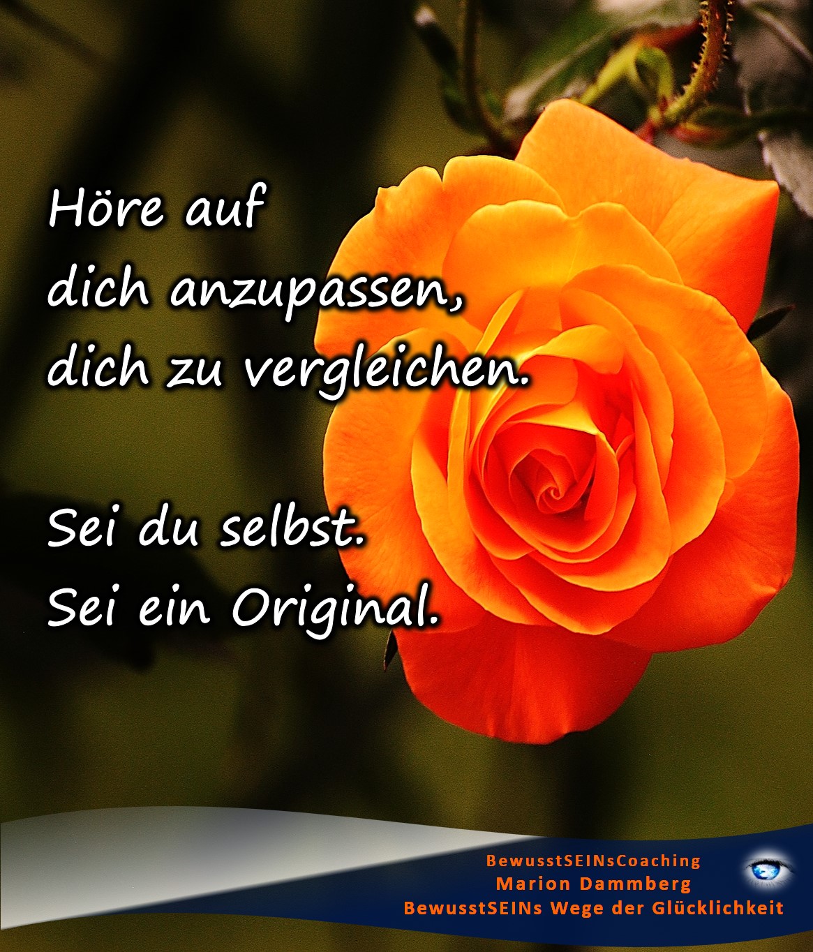 Höre auf, dich anzupassen, dich zu vergleichen. Sei du selbst. Sei ein Original. Lebe und liebe dich als Original. - BewusstSEINs Wege der Glücklichkeit, Marion Dammberg, BewusstSEINs Life Coach