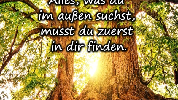 Alles, was du im außen suchst, musst du zuerst in dir finden. - BewusstSEINs Wege der Glücklichkeit, Marion Dammberg, BewusstSEINs Life Coach