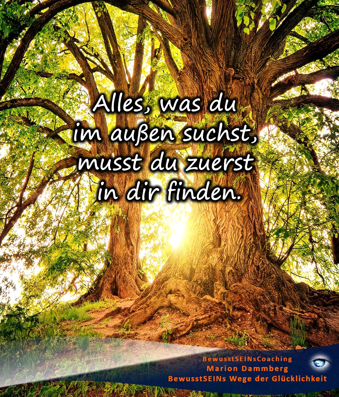 Alles, was du im außen suchst, musst du zuerst in dir finden. - BewusstSEINs Wege der Glücklichkeit, Marion Dammberg, BewusstSEINs Life Coach