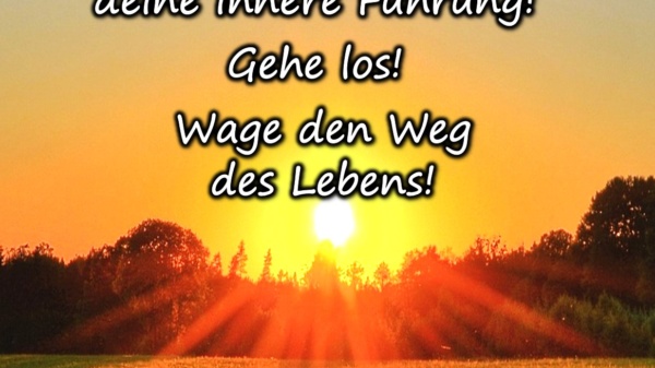 Vertraue auf deine innere Führung! Gehe los! Wage den Weg des Lebens! - BewusstSEINs Wege der Glücklichkeit, Marion Dammberg, BewusstSEINs Life Coach