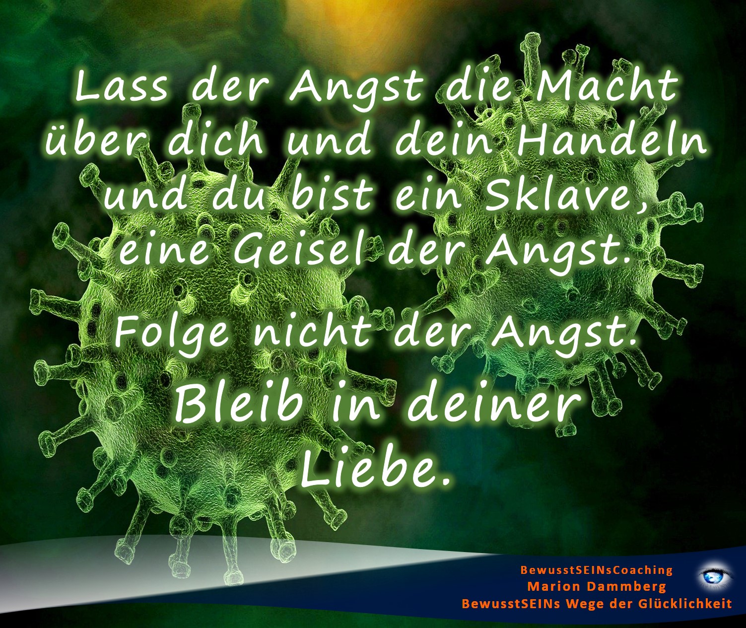 Coronavirus Wahnsinn. Folge nicht der Angst. Bleib in deiner Liebe. - BewusstSEINs Wege der Glücklichkeit, Marion Dammberg, BewusstSEINs Life Coach