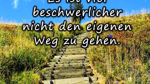 Es ist viel beschwerlicher nicht den eigenen Weg zu gehen - BewusstSEINs Wege der Glücklichkeit, Marion Dammberg, BewusstSEINs Life Coach